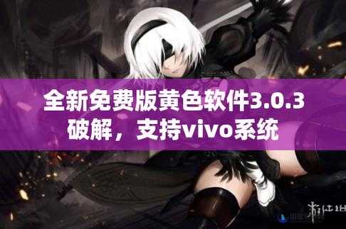 3.0.3 免费 vivo 版破解大全 2023：最新最全面资源汇总