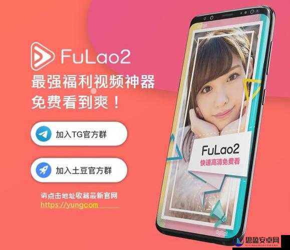 Fulao2粉色标路线检测免费：一款实用的检测工具