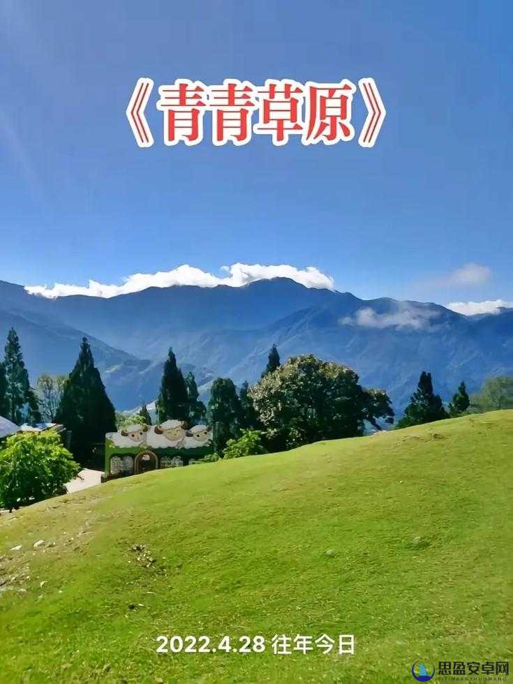 探索久久青青草原精品国产 APP 2024 最新版的独特魅力与精彩体验