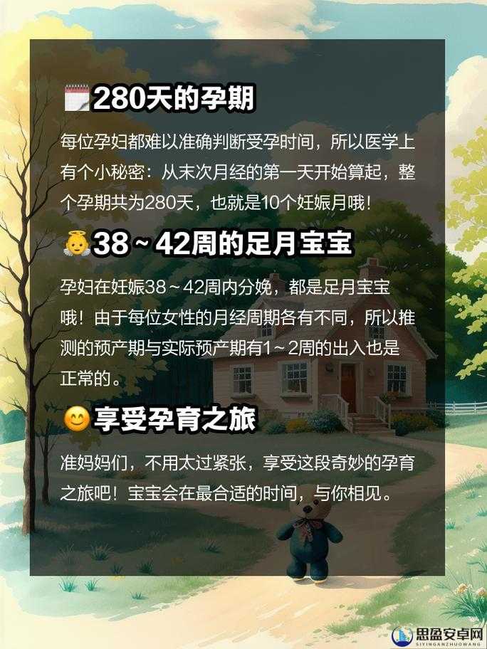 善交怀孕集合 23 部分：探索孕育的奇妙之旅