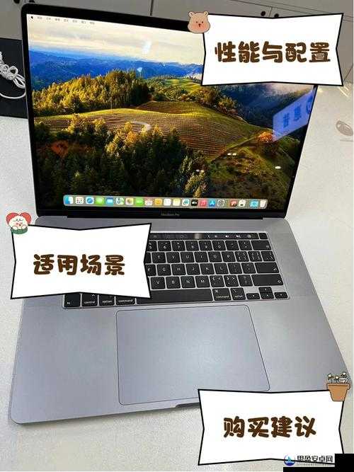 1819 岁 MACBOOK 日本视频：关于该视频的详细介绍与分析