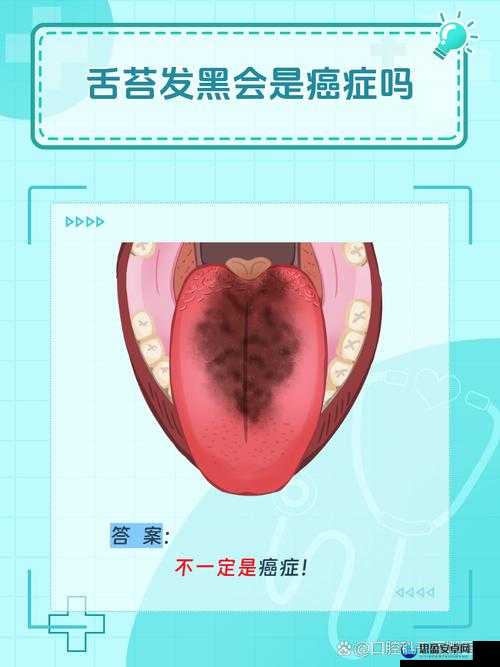 家里什么东西可以代替舌头：关于此问题的深入探讨与分析