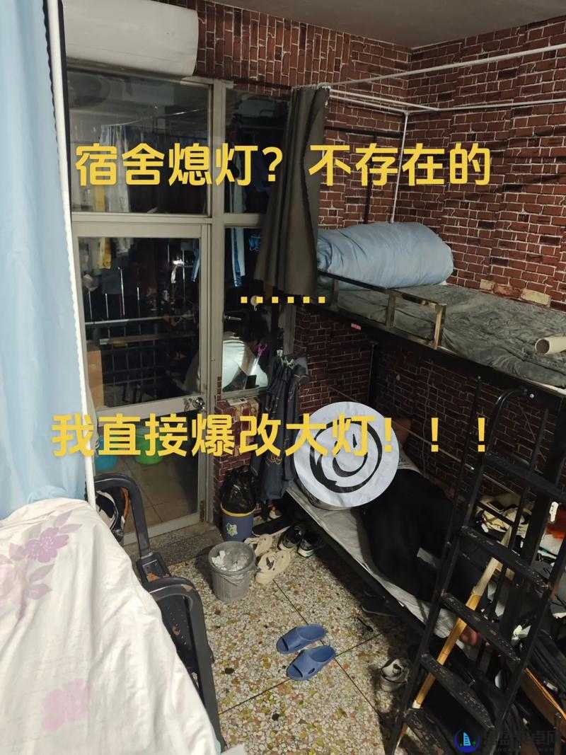 熄灯后的寝室 pH ：探索学生宿舍熄灯后的神秘世界