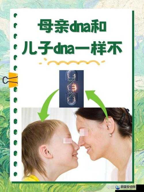 DNA 之谜：母亲与儿子的相似之谜