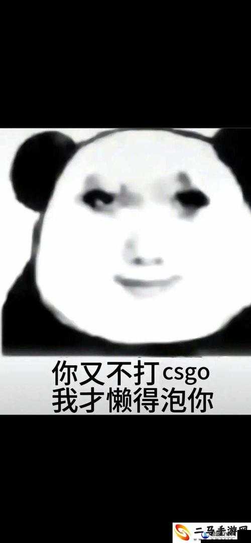 暴躁老姐教你玩转 CSGO：心得分享