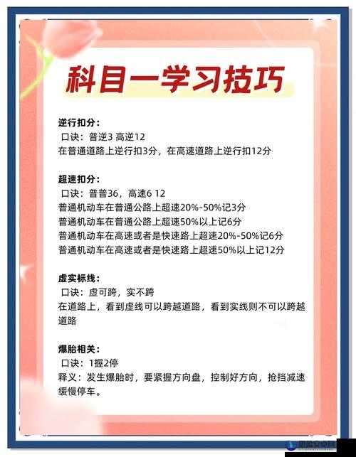 囧囧挑战3第四关全面攻略，掌握通关秘籍，助你轻松解锁无忧过关