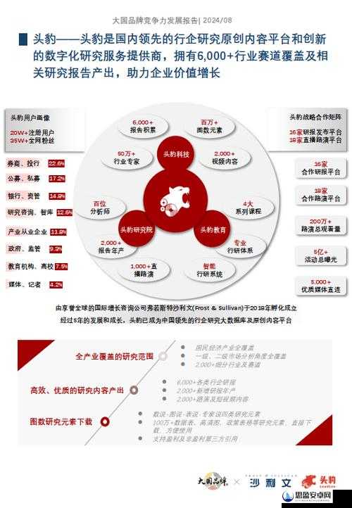 HD2中国成熟一品GO：全面解析其市场表现与未来发展趋势，助力品牌竞争力提升